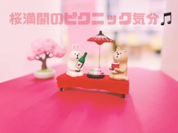 春のディスプレイ２０２５！！